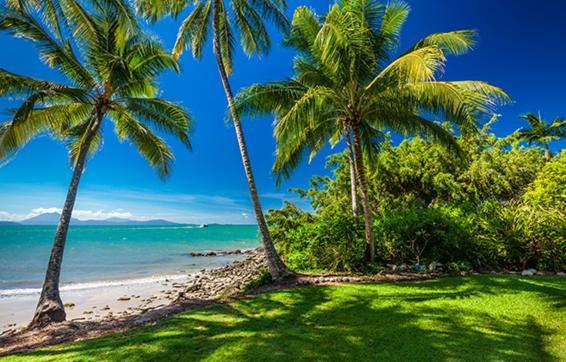 Cosy Studio Port Douglas Exterior foto